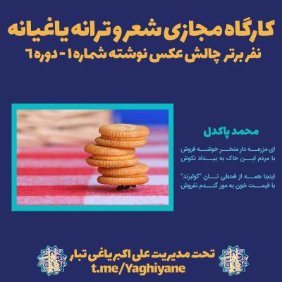 کارگاه مجازی شعر و ترانه یاغیانه - چالش عکس نوشته